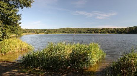 Jezioro Wyspowo, Гдыня
