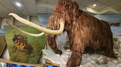 Mammoth Museum, Γιακούτσκ