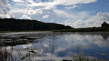 Jezioro Bogdańskie, Olsztyn