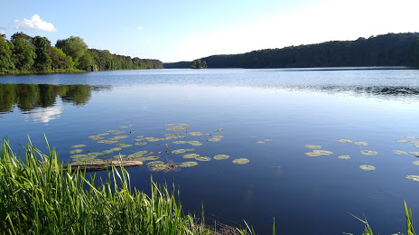 Jezioro Soczewka, Plock
