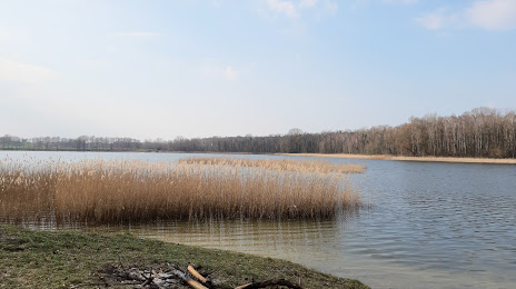 Jezioro Głodowskie, Konin
