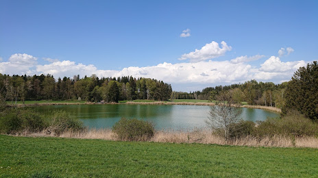 Озеро Бибер, Вайнгартен
