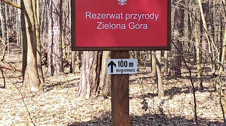 Reserve Zielona Gora, 