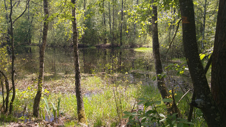 Rezerwat przyrody Grabicz, Wolomin