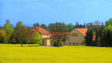 Weingut Neumühle Prior, Вормс