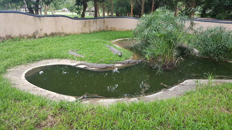 Kalimba Reptile Park, Λουζάκα