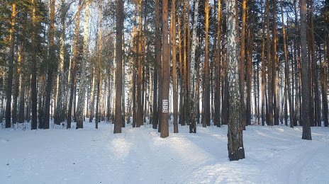 Gorodskoy Park Kul'tury I Otdykha, Verkhnyaya Pyshma