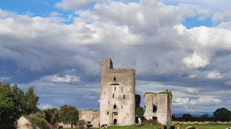 Ballyadams Castle, 