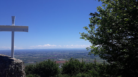 Parco Naturale del Monte San Giorgio, Orbassano