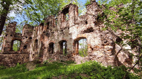 Ruiny zamku w Rybnicy, 