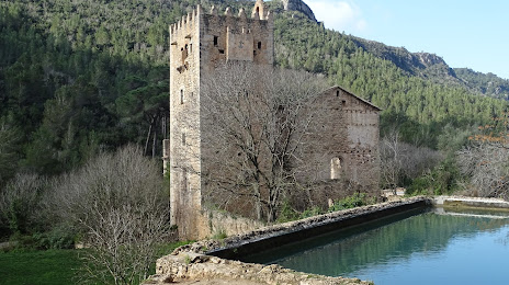 Ruinas del Monasterio de Santa María de la Murta, 