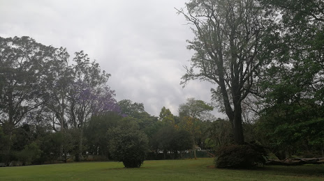Wylie Park, Pietermaritzburg