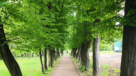 Adam Mickiewicz Park (Park Adama Mickiewicza), 
