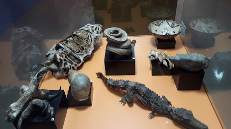 Ethno-Archaeological Museum Puyo, Puyo