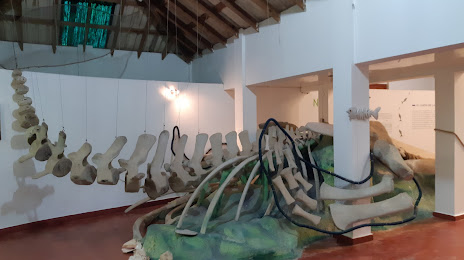 Museo de las Ballenas / Centro de la Naturaleza, Samaná