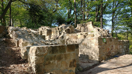 Ruiny Zamku Golesz, Jaslo