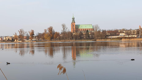 Jezioro Jelonek, Gniezno