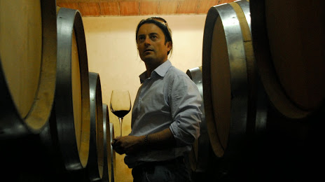 I Selvatici Winery, Montevarchi