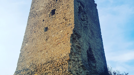 Torre Cotogna, Urbino