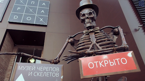 Skull And Skeleton Museum (Muzej CHerepov i Skeletov), Зеленоґрадськ
