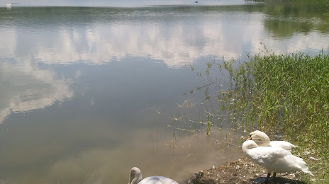 Slonytsya Pond, Μπόρισλαβ