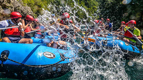 Rafting Tarom Official, 