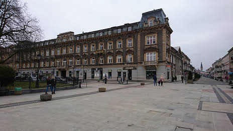 Palace Karschów and Wickenhagenów in Radom, Radom
