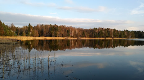 Jezioro Koleśne, Suwalki
