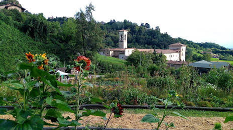 Botanic Garden Of Bergamo, Astino Section, 