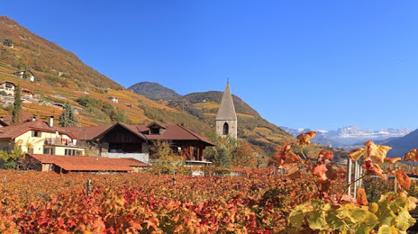 Weingut Plonerhof - Vendita Vini d. Simon Geier, Bolzano