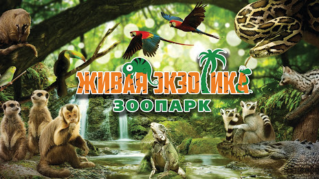 Mini-Zoopark Zhivaya Ekzotika, Ekspozitsiya Zateryannyy Mir, 