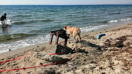 Abarossa Dog Beach, 
