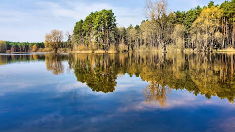 Jezioro w Droszkowie, Zielona Gora