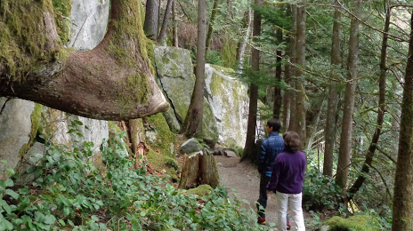 Coho Park Trail, Squamish