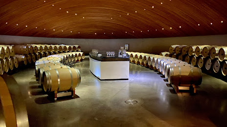 Clos Apalta Winery, Santa Cruz