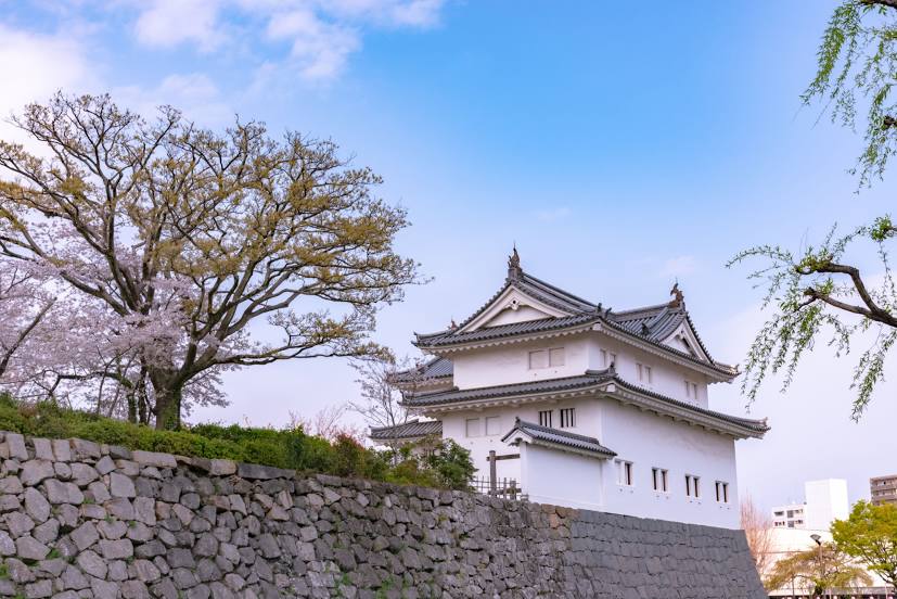Sunpu Castle, Σιζουόκα