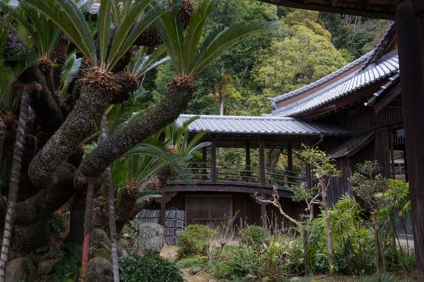 Seiken Koukoku Zen-ji Temple (Seiken-ji Temple), 