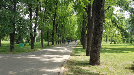 Ботанический сад им. И.С. Косенко (Дендрарий), Краснодар