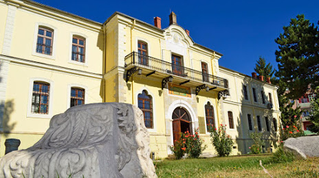 NI Institute and Museum Bitola, 