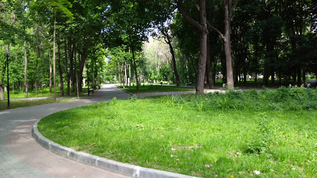 Городской Рогожинский парк, Тула
