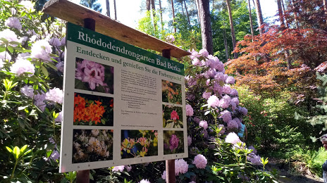 Rhododendrongarten, Weimar