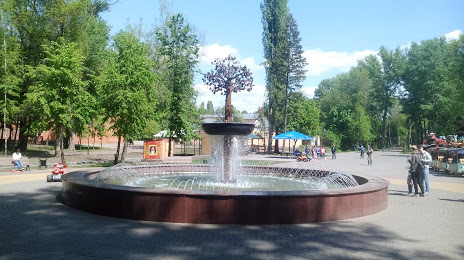 Nizhniy park, Lípetsk