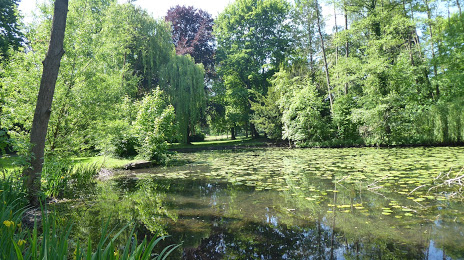 Levinscher Park, Teningen