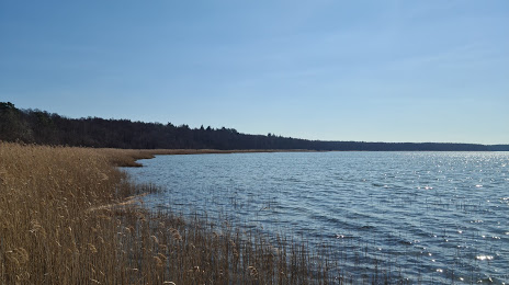 Озеро Пристербекер, 