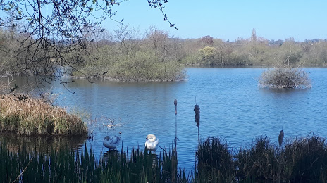 Stocker's Lake Nature Reserve, Ruislip