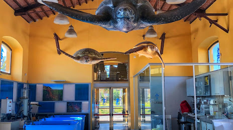 Centro Ricerche Tartarughe Marine - Osservatorio del Golfo di Napoli - Stazione Zoologica Anton Dohrn, Portici