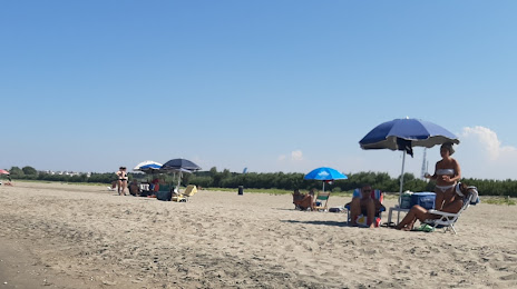 Spiaggia di Barletta, Barletta