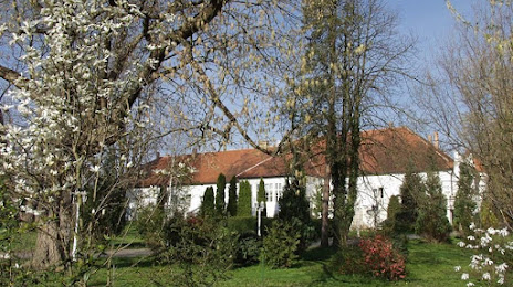 Szász Endre Kastélymúzeum, Kaposvár