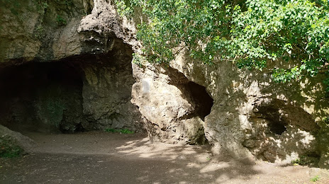 Grotte de Spy, Namur