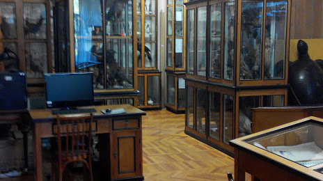 Зоологический музей ТГУ, Томск